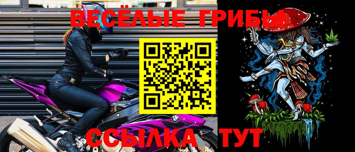 Псилоцибиновые грибы Cubensis Рославль