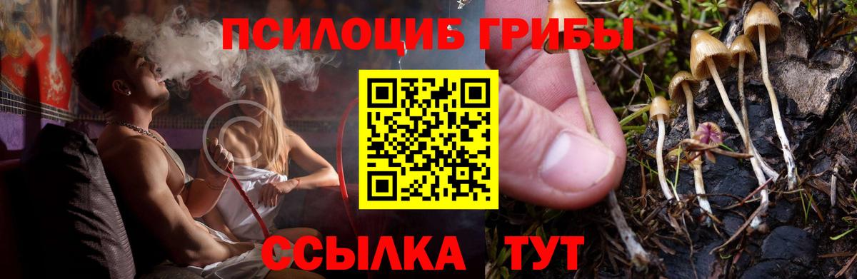 Галлюциногенные грибы MAGIC MUSHROOMS  Галлюциногенные грибы Psilocybe  Рославль  Вход с VPN 